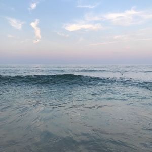 Meet your Posher, Caitlin